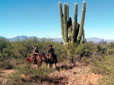 USA-Arizona-Cross Country Arizona Trail